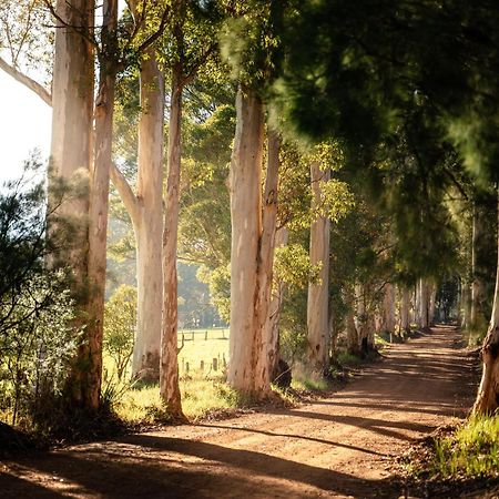 Karrak Reach Forest Retreat Денмарк Экстерьер фото